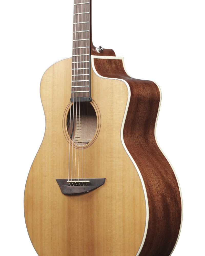 Ibanez 1B-PA230E-NSL Acoustic Guitar - Natural Satin Top / Natural Low Gloss Back and Sides + Bag
