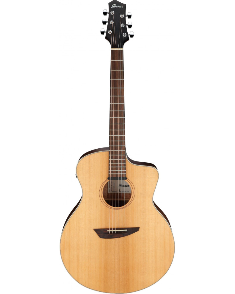 Ibanez 1B-PA230E-NSL Acoustic Guitar - Natural Satin Top / Natural Low Gloss Back and Sides + Bag