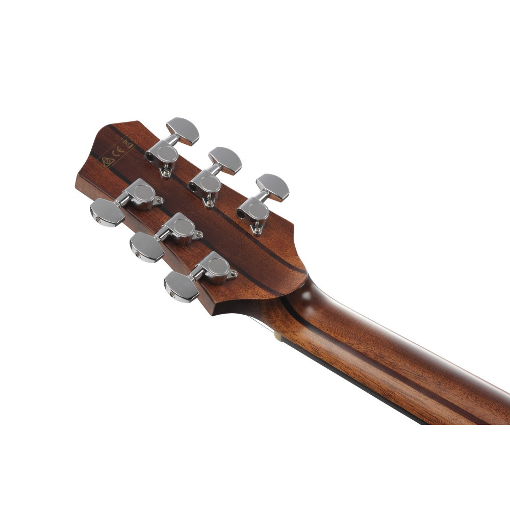 Ibanez 1B-PA230E-NSL Acoustic Guitar - Natural Satin Top / Natural Low Gloss Back and Sides + Bag