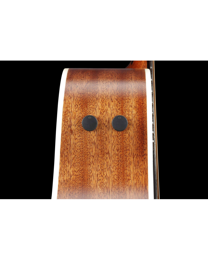 Ibanez 1B-PA230E-NSL Acoustic Guitar - Natural Satin Top / Natural Low Gloss Back and Sides + Bag