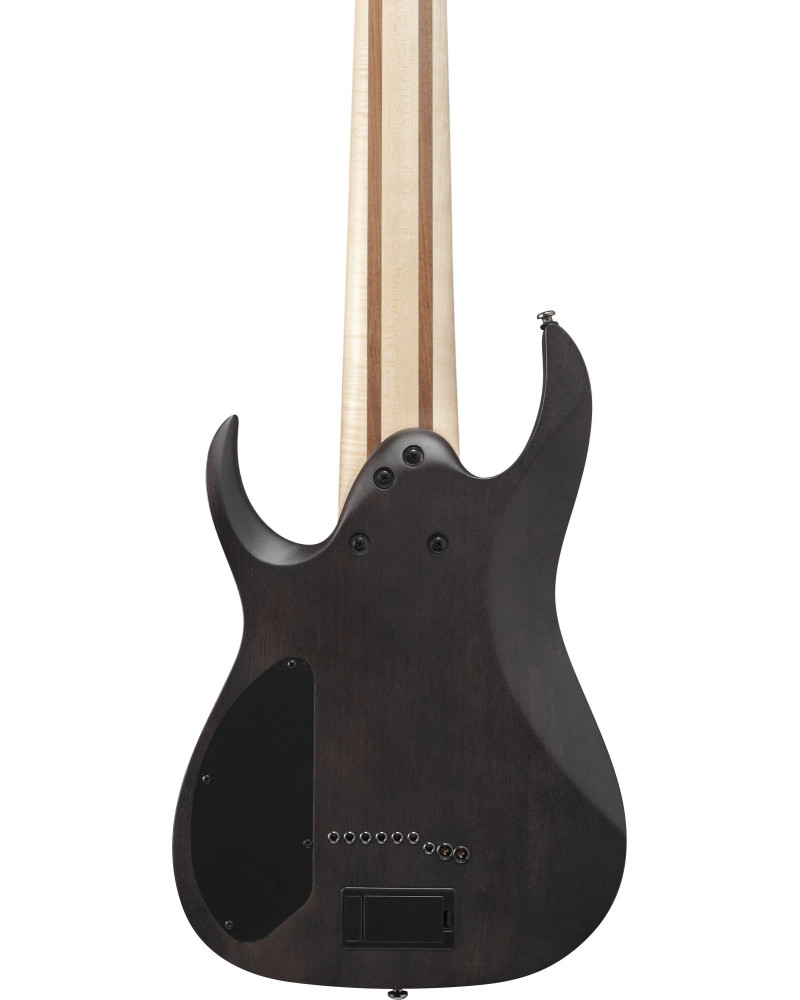 Ibanez 1B-RG9PB-TGF Axe Design Lab RG Electric Guitar 9-String - Transparent Gray Flat