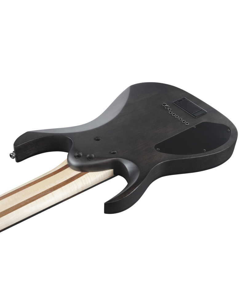 Ibanez 1B-RG9PB-TGF Axe Design Lab RG Electric Guitar 9-String - Transparent Gray Flat