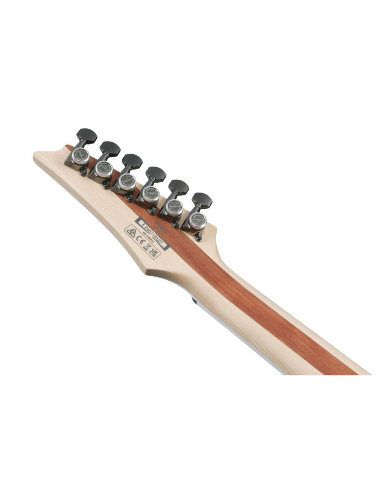 Ibanez RGIB21-BK Iron Label RG Electric Guitar 6-String - Black