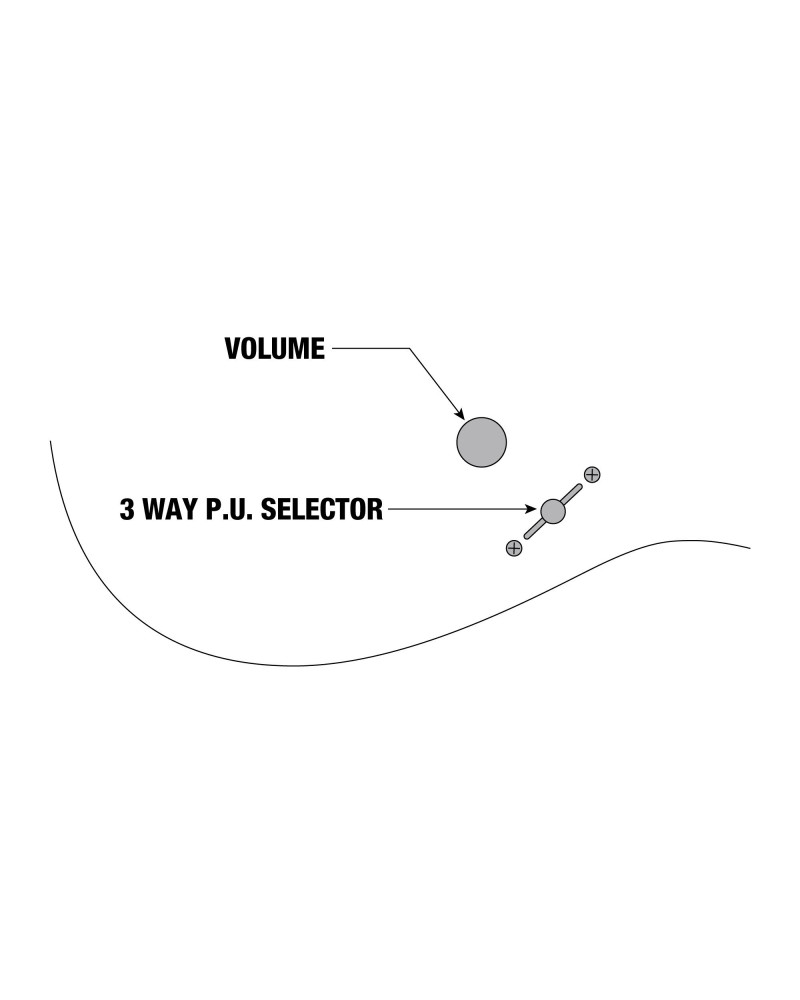 Ibanez RGIB21-BK Iron Label RG Electric Guitar 6-String - Black