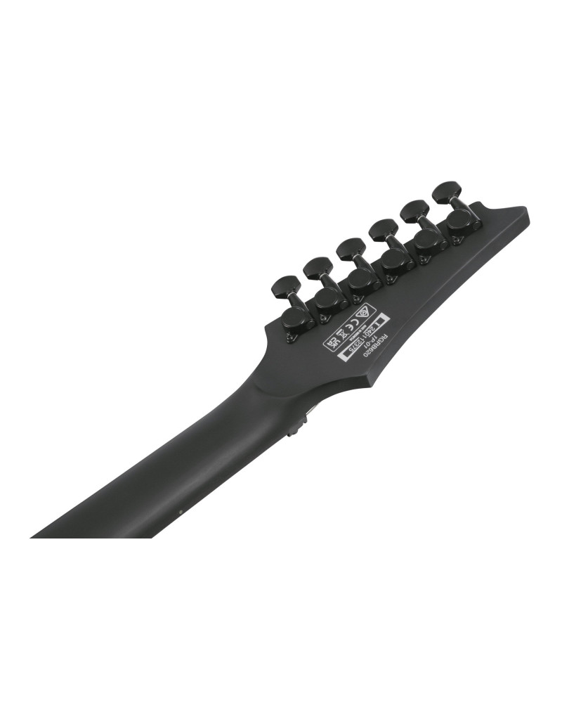 Ibanez 1B-RGRB620BKF Iron Label RGR Electric Guitar 6-String - Black Flat