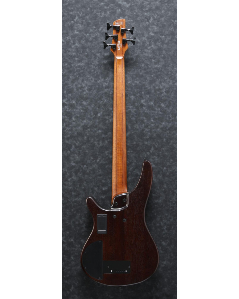 Ibanez 1B-SRH505FNNF Bass Workshop SR Semi-Hollow Body Bass 5-String Fretless, AERIUM - Natural Browned Burst Flat