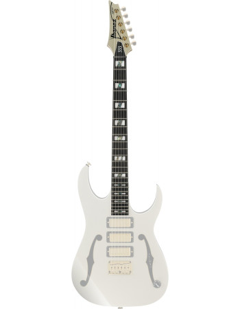 Ibanez 1NK00A0339 Neck for PGM333