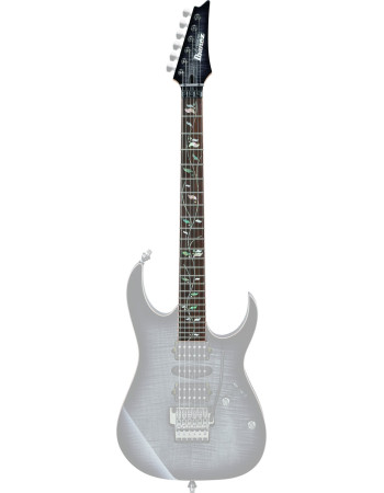 Ibanez 1NK00A0382BRE Neck for RG8570-BRE