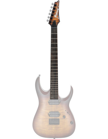 Ibanez 1NK1PA0529 neck - for RGA42FM-DEF