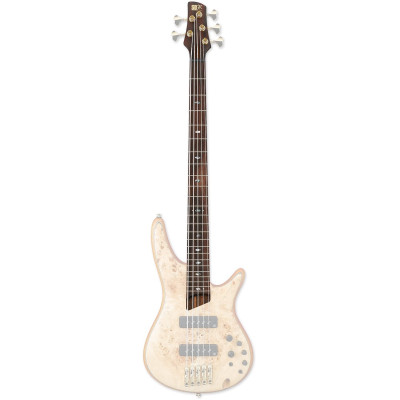 Ibanez 1NK1PC0177 Neck for SR1605-NTF