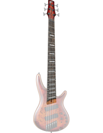 Ibanez 1NK1PC0459BTT Neck for SRMS806-BTT