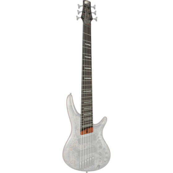 Ibanez 1NK1PC0459DTW Neck for SRMS806-DTW