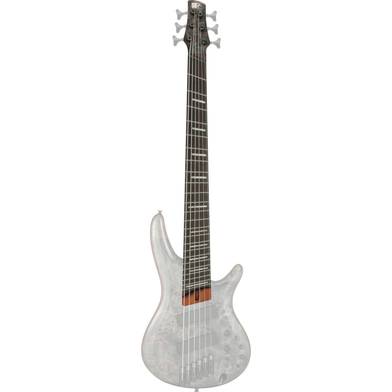 Ibanez 1NK1PC0459DTW Neck for SRMS806-DTW