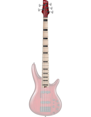 Ibanez 1NK1PC0462TWB Neck for ANB205-TWB 5 String