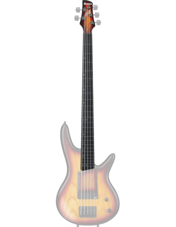 Ibanez 1NK1PC0463TQF Neck for GWB20TH-TQF