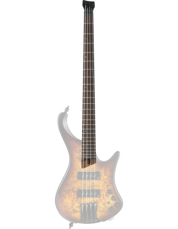 Ibanez 1NK1PC0491 Neck for EHB1500 Models