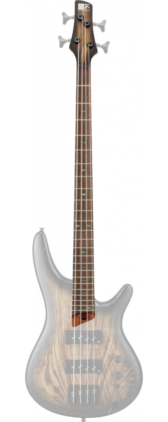 Ibanez 1NK1PC0498AST Bass Neck For SR600E-AST