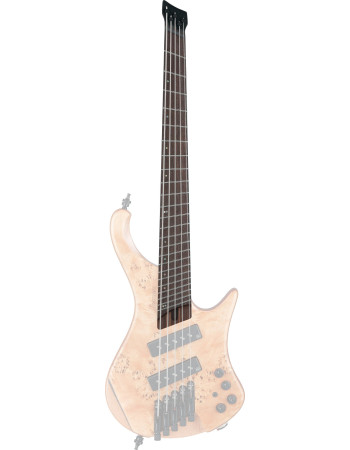 Ibanez 1NK1PC0519 Neck for EHB1505SMSFNL
