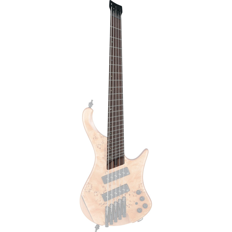 Ibanez 1NK1PC0519 Neck for EHB1505SMSFNL