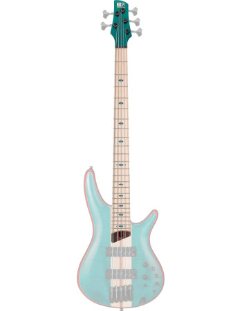 Ibanez 1NK1PC0525CGL Neck for SR1425B-CGL