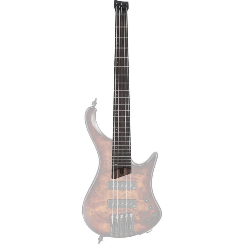 Ibanez 1NK1PC0532 Neck for EHB1505S-DEL