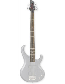 Ibanez 1NKPBT5IPF Neck - for BTB205IPF Bass