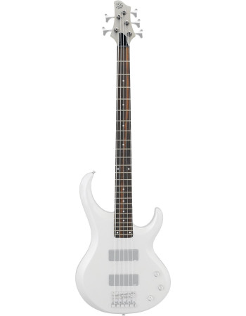 Ibanez 1NKPBT5TYF Neck - for BTB205TYF Bass