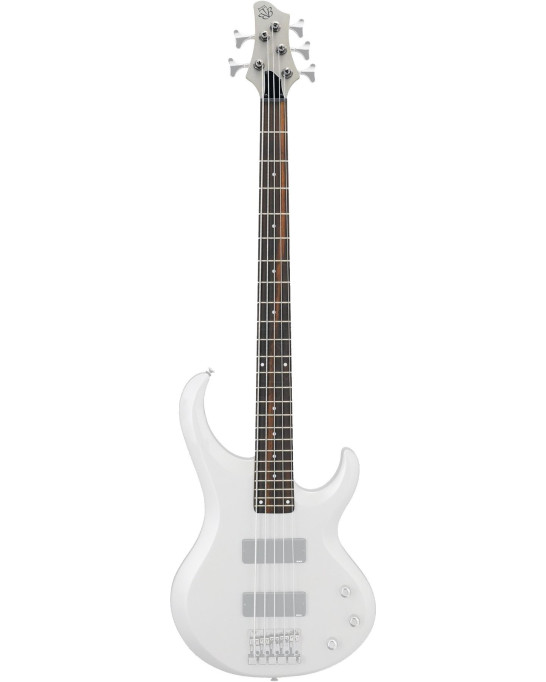 Ibanez 1NKPBT5TYF Neck - for BTB205TYF Bass