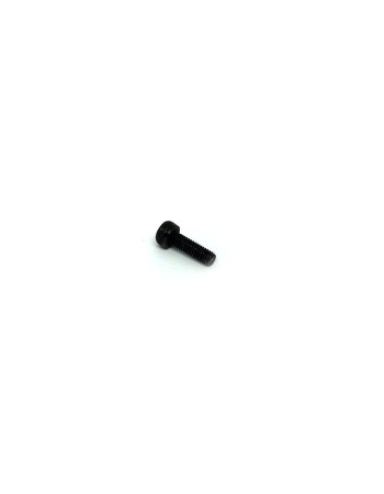 Ibanez 2ED2C5M Saddle Holding Screw - 10MM/FX EDGE3/M