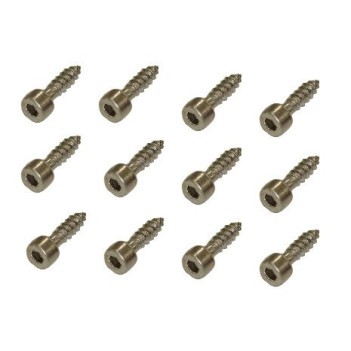 Ibanez 2GBX5BA003 bridge mounting screw for Tight End bridge - 12 pieces