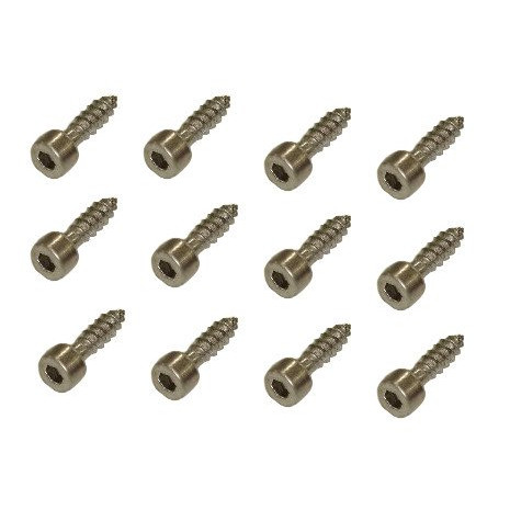 Ibanez 2GBX5BA003 bridge mounting screw for Tight End bridge - 12 pieces