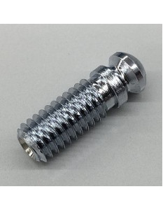 Ibanez 2HS001-CH stud screw for T1802/T1502 - chrome