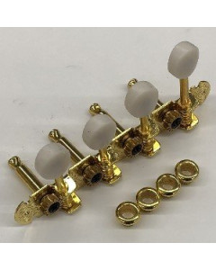 Ibanez 2MM0021R-GDP Machinehead Right Gold, F-Mandolin, Plastic Pearl Button, For M522S