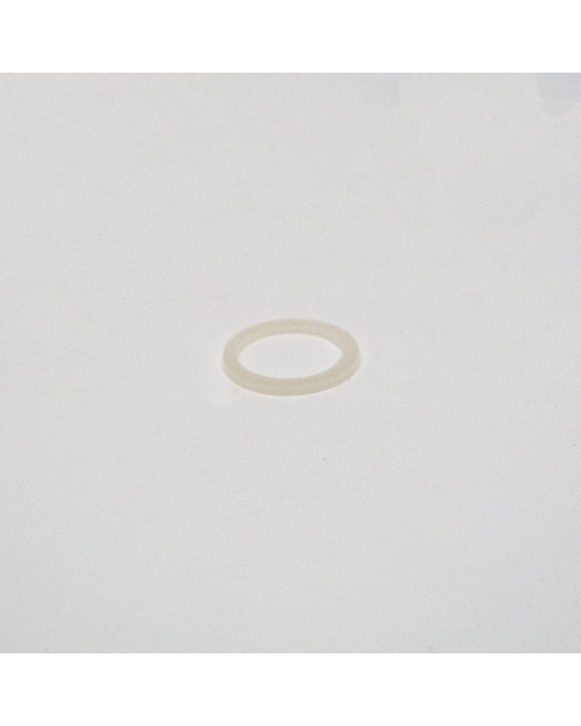 Ibanez 2SL2C-10 Washer SLT101