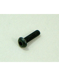 Ibanez 2TL2-3S Screw Set 2Pcs