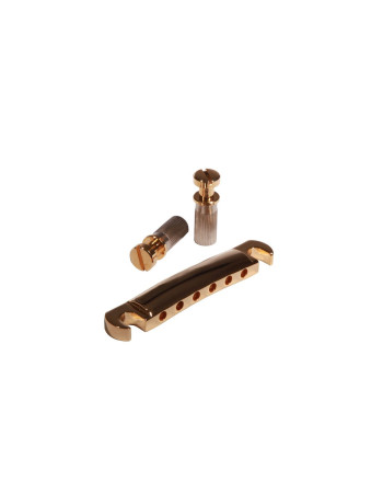 Ibanez 2TP1C1G Bridge Tailpiece in gold for AS120