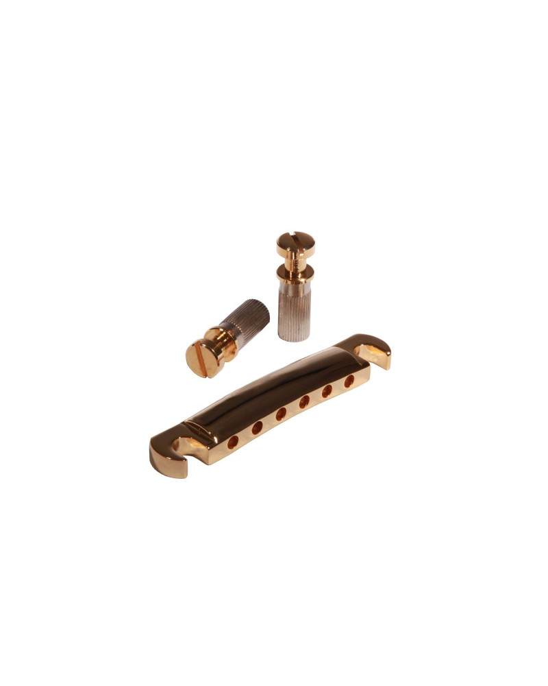 Ibanez 2TP1C1G Bridge Tailpiece in gold for AS120