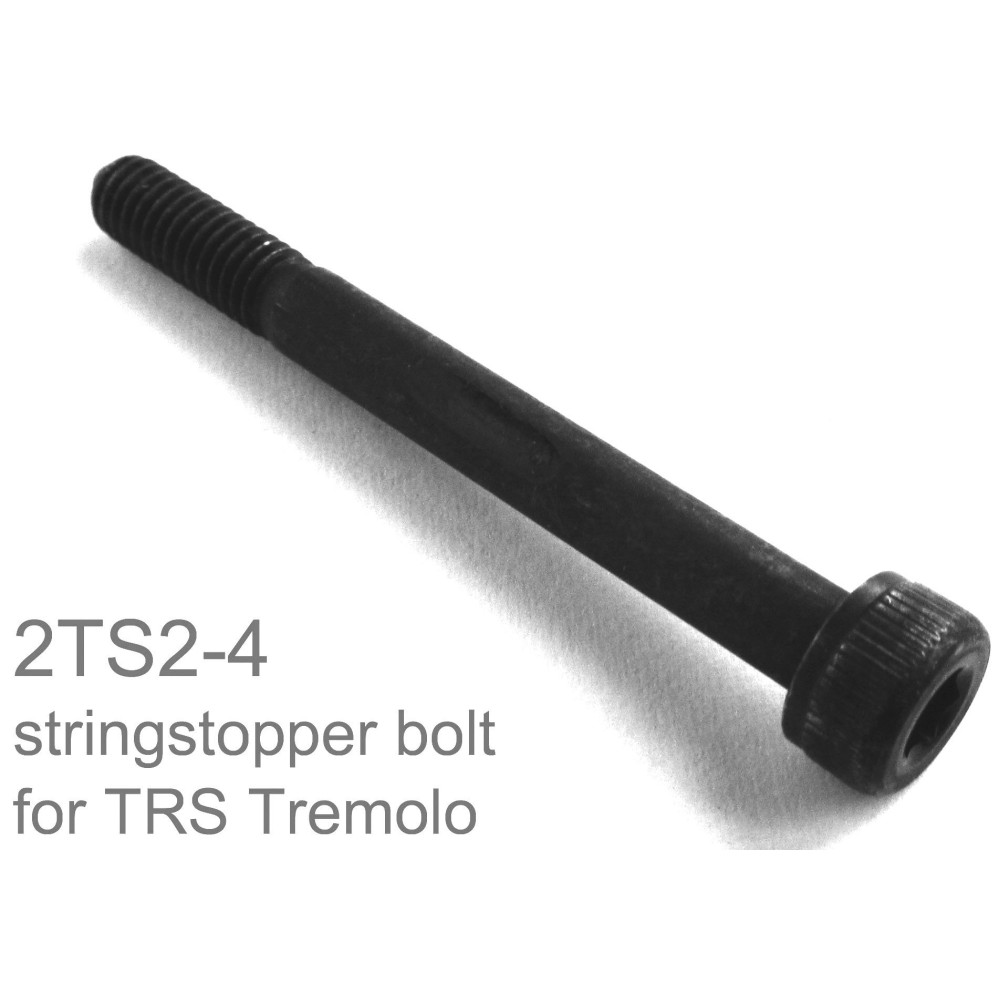 Ibanez 2TS2-4 String Stopper Bolt - black 1pc