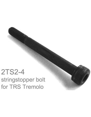 Ibanez 2TS2-4 String Stopper Bolt - black 1pc