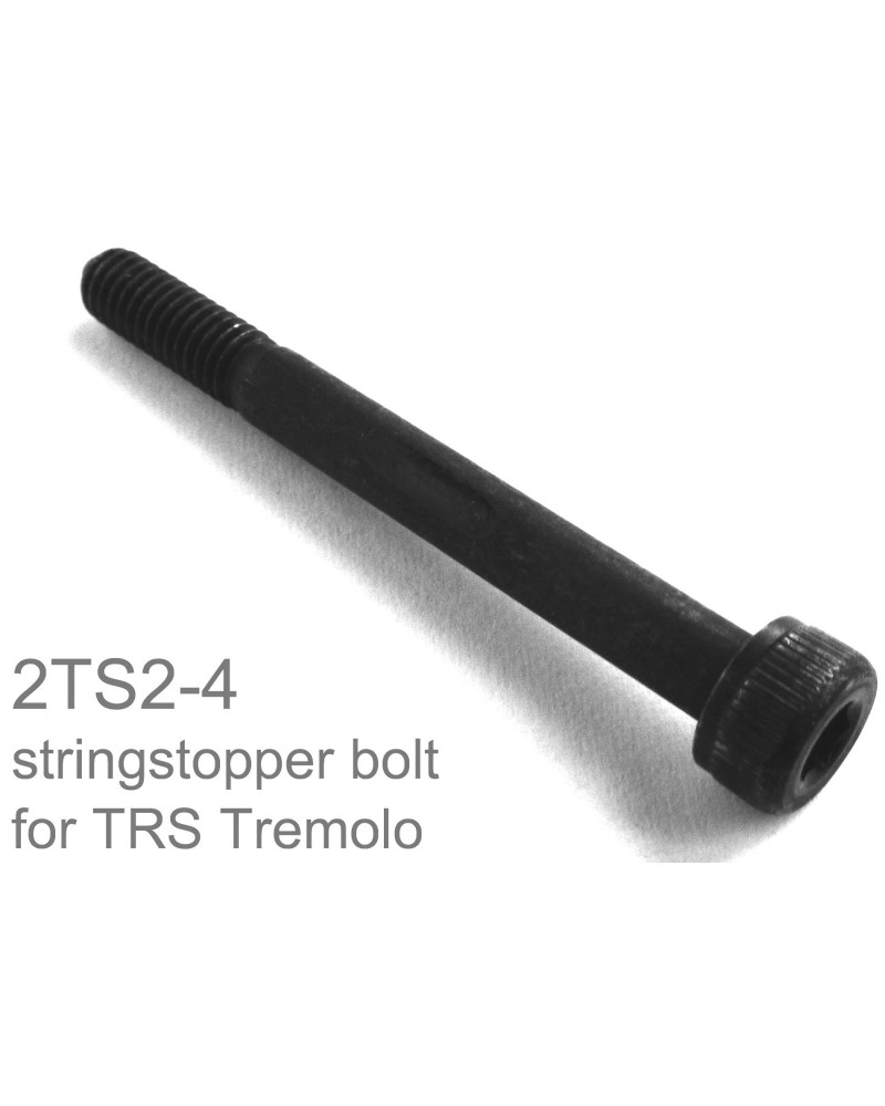 Ibanez 2TS2-4 String Stopper Bolt - black 1pc