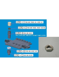 Ibanez 2ZR2-10 tremolo arm socket nut - for ZR tremolo