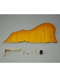 Ibanez 4PG12A0002 pickguard - Artcore flamed maple Amber Gold Bracket