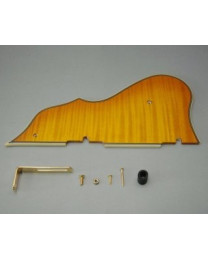 Ibanez 4PG12A0002 pickguard - Artcore flamed maple Amber Gold Bracket