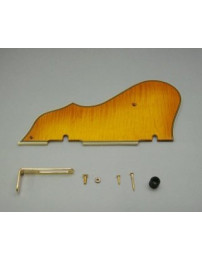 Ibanez 4PG12A0003 pickguard - flamed maple/amber for AS103-AMB