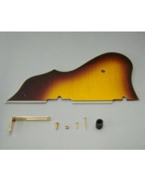Ibanez 4PG12A0006 pickguard - AF105VB