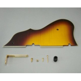 Ibanez 4PG12A0006 pickguard - AF105VB
