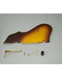Ibanez 4PG12A0007 pickguard - flamed maple/VB for AS103-VB (2008/11-2012/10)