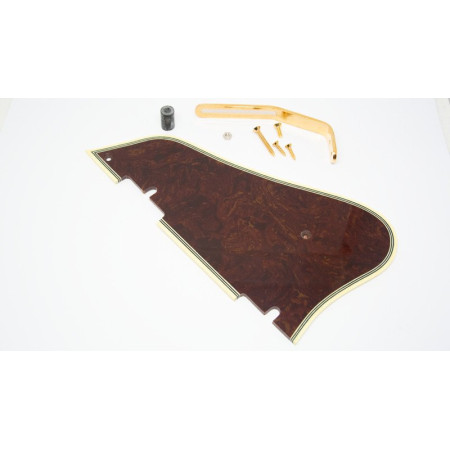 Ibanez 4PG1AF200 Pickguard AF 200