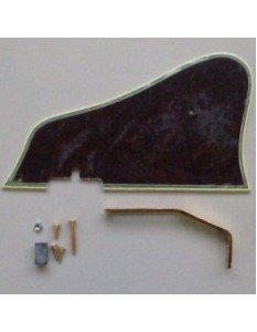 Ibanez 4PG1AF207 Pickguard AF207