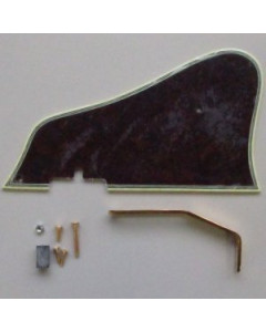 Ibanez 4PG1AF207 Pickguard AF207